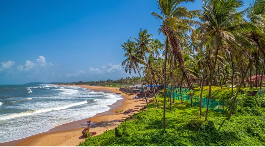 Showing Goa